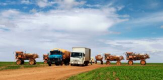 Wwf, 39 mln posti di lavoro con sussidi dedicati ad azioni per la natura