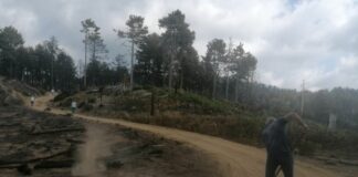 Incendi in Calabria, domato quello tra i comuni di Africo e Roghudi