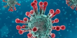 Piattaforma peptidica potente strumento nella lotta contro il Covid