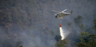 Incendi in Calabria, Patuanelli incontra sindaci dei comuni colpiti