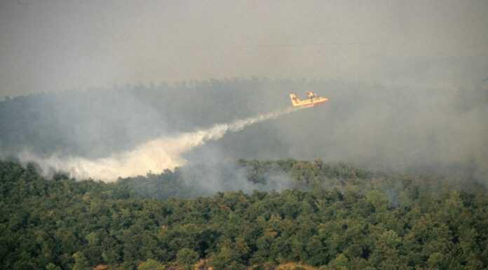 Incendi, in Italia dall’inizio del 2021 bruciati 158mila ettari