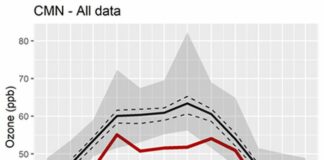 I lockdown possibile causa dei bassi valori di ozono troposferico