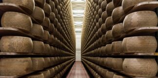 Controlli Carabinieri a prodotti Dop e Igp, sanzioni e sequestri