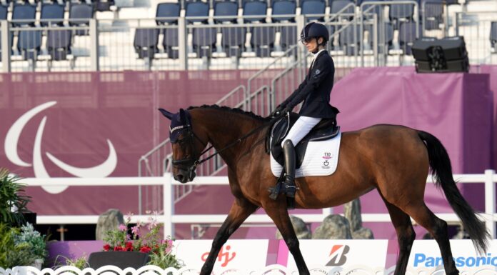 Bronzo nel paradressage con Morganti, Gilli d’argento