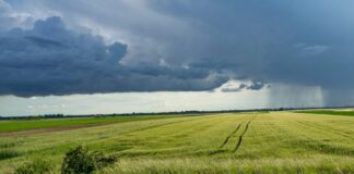 Pac, maggiori anticipi sui pagamenti di politica agricola comune