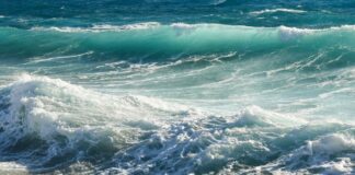 Tragedia nel Palermitano, 22enne muore annegato