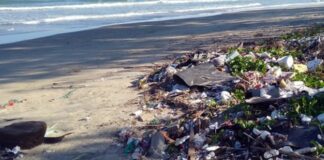 Mediterraneo da remare #PlasticFree fa tappa nelle Marche a Grottammare