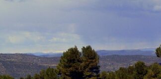 Via libera commissione Ue a piano sviluppo rurale Emilia Romagna