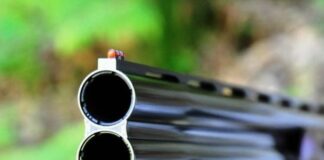 Caccia, Wwf “Con preaperture si riprende a sparare dopo estate fuoco”