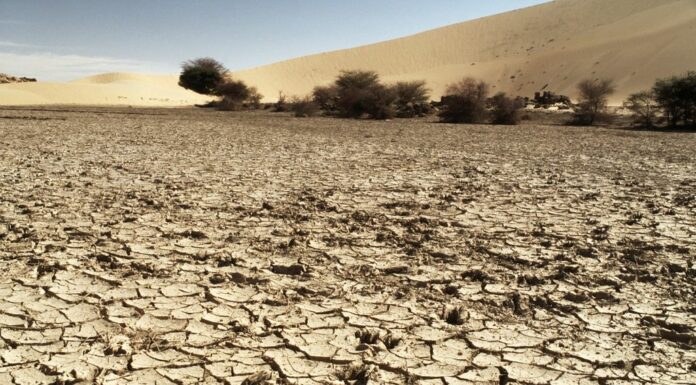 Clima, allarme Onu “Cambiamenti senza precedenti, alcuni irreversibili”