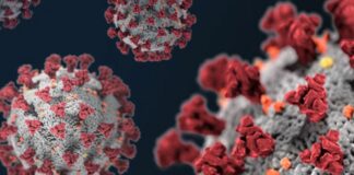 Covid, 187 casi e 3 decessi in Sardegna