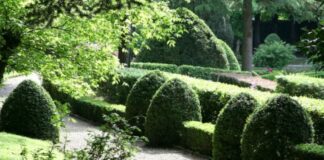 Horticultural Tourism, boom visitatori a luglio e agosto