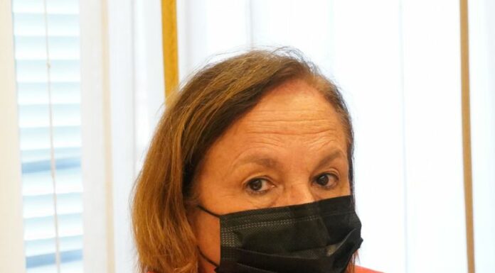 Lamorgese “Necessari nuovi strumenti contro minacce a giornalisti”