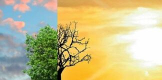 Wwf porta alla Mostra di Venezia un corto sulla crisi climatica