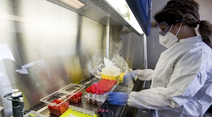 Covid, 6.503 nuovi casi e 69 decessi nelle ultime 24 ore