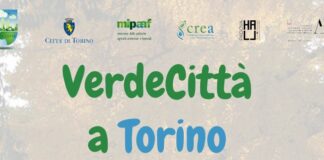 Città più green e intelligenti, Verdecittà arriva a Torino