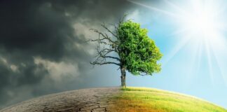 Wwf “La transizione ecologica ha bisogno di idee e politiche chiare”