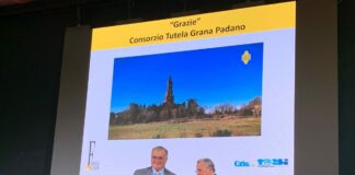 Grana Padano vince il Tespi Award per lo spot “Grazie”