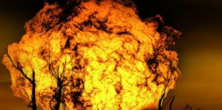 Da Cdm ok a decreto incendi, inasprite pene