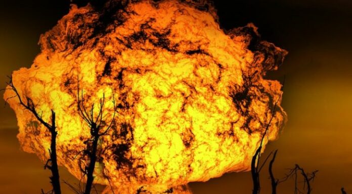 Da Cdm ok a decreto incendi, inasprite pene