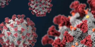 “Long Covid”, disturbi intestinali anche a 5 mesi dalla guarigione