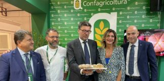 Cibus, dall’agroalimentare la spinta per la ripartenza
