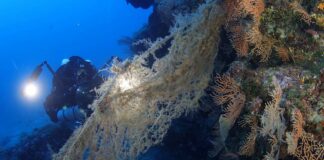 Isola del Giglio, rimossa dal fondale una rete di 500 metri