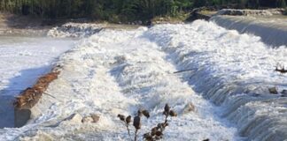 Al via lavori di manutenzione idraulica sui corsi d’acqua nel cesenate