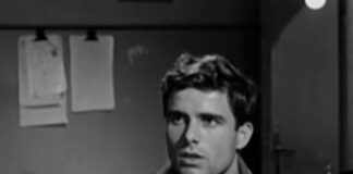 E’ morto Nino Castelnuovo