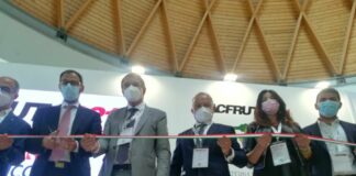 Sardegna al Macfrut Rimini, Solinas “Settore ortofrutticolo strategico”