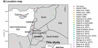 Medio Oriente, definito il campo magnetico tra 10.000 e 8.000 anni fa