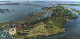 A Venezia un “Bosco per il cinema”, 100 alberi piantati da carabinieri