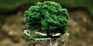 Società Benefit, accordo Smartitaly e Join Group