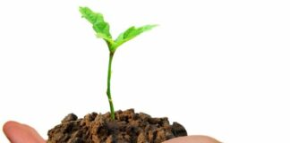 Agricoltura, Zanoni “Bene l’export bio, consumi interni da migliorare”