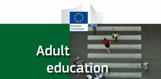 Ue, un adulto su cinque non ha il diploma