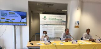 Transizione energetica, parte la campagna Sicilia Carbon Free
