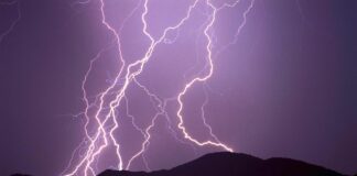 Veneto, ok del MIPAAF a interventi compensativi del Fondo di Solidarietà