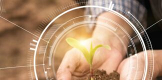 Con Fieragricola di Verona un viaggio nel mondo dell’agro-voltaico