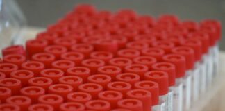 Tumori, è made in Italy la terapia intelligente