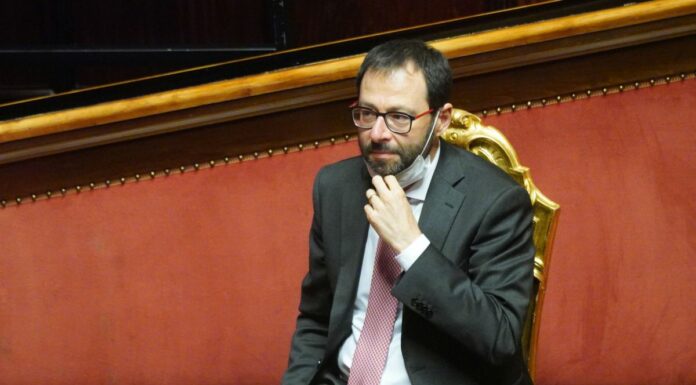 Agricoltura, Patuanelli “Riforma Pac epocale, arriverà in tempi fissati”