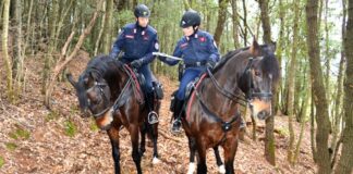 Rinnovata la convenzione per l’impiego dei Carabinieri Forestali