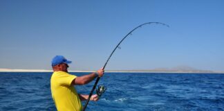 Mondiale di Big Game a Pesaro, Italia con due squadre