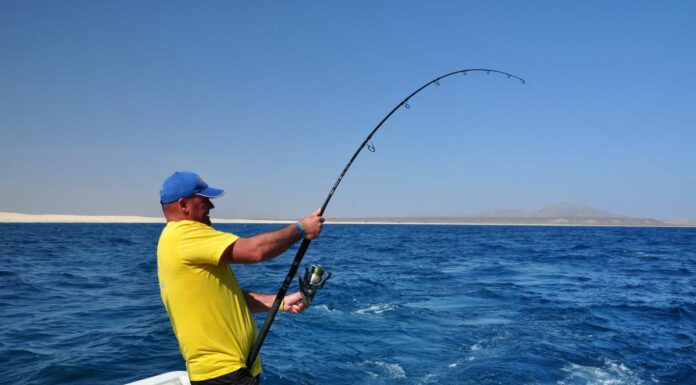 Mondiale di Big Game a Pesaro, Italia con due squadre