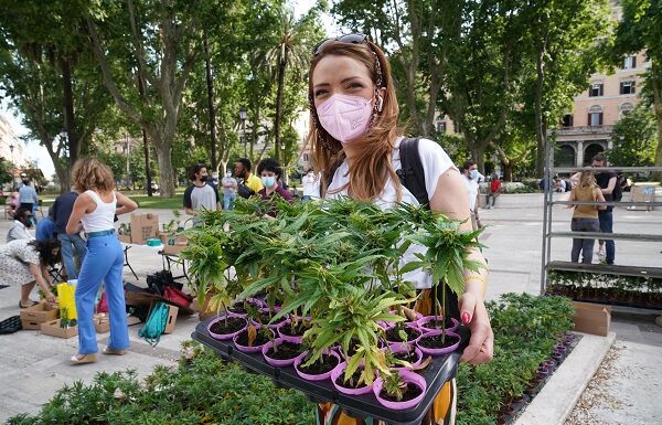 Cannabis, raggiunte 500.000 firme per referendum legalizzazione