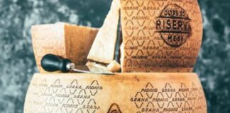 Grana Padano, tradizione e innovazione a concorso Caseus Veneti