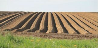 L’agrovoltaico nuova opportunità per le imprese