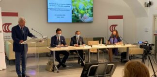 Clima, imprese Milano pronte a vincere la sfida della sostenibilità