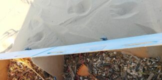 Venezia, Al via progetto Marless per combattere problema rifiuti marini