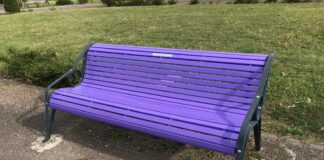 Salute, a Udine panchina viola per sensibilizzare su Alzheimer