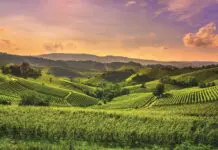 Torino e la Sardegna tra i finalisti degli EU Organic Awards 2026